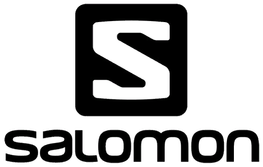 Salomon group logo